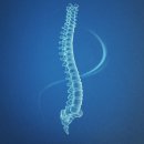 코리아 헬스 뱅크 이미지