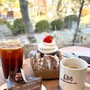 으뜸50(일산원당점) | 원당 대형카페 배다골베이커리하우스 일산 고양 디저트 맛집 추천