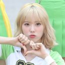 장은카