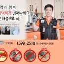 싹잡아방역 이미지