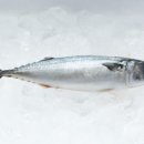 오늘도 푸른 한우농장 이미지