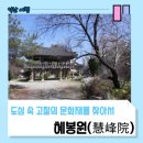혜봉원목조보살입상 | [여행 WITH 원광][공유]도심 속 고찰의 문화재를 찾아서, 익산의 혜봉원(慧峰院)