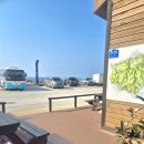 코끼리펜션 | 울릉도펜션 바다풍경펜션 솔직후기