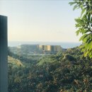 중문오션스테이 이미지