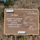 해뜰목 이미지