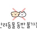 덕동리301캠핑장 이미지