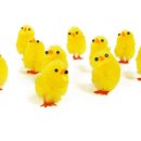 옥계초병설유치원 이미지