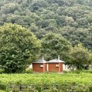 반곡유원지 이미지