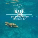 블루라군 | 발리 스노클링 블루라군 투어 내돈내산 후기