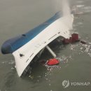 ＜오두의 문화비평＞ 세월호 침몰 순간이 고래 닮은 이유 이미지