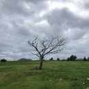 선양 목장 이미지