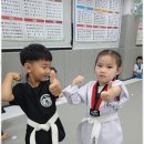 행복한태권도 이미지