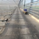 동선농장 이미지