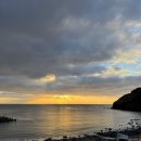 금성세탁소 | 제주도에서 러닝하기(+지갑 찾은 후기)｜제주 3일차 (오랑우탄면사무소, 새별오름, 메종노트르테르)