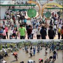 나비초등학교 이미지