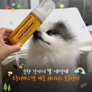 해피바스켓 | [강아지 용품] 순한 강아지 발 세정제 추천/ 프루티바스켓 캐롯 워터리스 풋 클렌저 후기💛