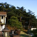 [군산] 유로빌리지