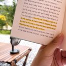 좋은캠핑장, 노키즈캠핑장, 야바이스체어후기, 자충매트후기, 홍천시장, 홍천분감자파는곳, 홍천오일장)