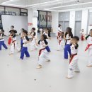 용인대 시선 태권도장 이미지