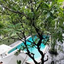 발리호텔 | 발리 사누르 가성비 호텔 아카야발리 조식 맛집 숙소 후기