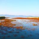 갯벌소리 이미지