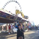 제이스팜 | 잊을 수 없지만 잊지 않기 위해 기록하는 토론토살이