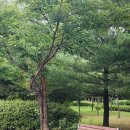 서천레스피아 이미지