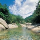 학동천 이미지