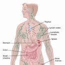 메디포레스트 필라테스 이미지