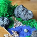 모인플랜트 | 울산 모인플랜트 테라리움 키트 사춘기 아들이 만들었어요