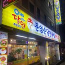 비둘기2길 이미지