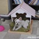 키키하우스 이미지