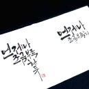 마담캘리 이미지