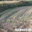 구자옥공인중개사사무소 이미지