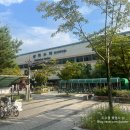 바로국제 행정사 사무소 정보와 수임료 안내