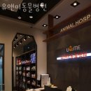 유앤미동물병원 | 용인 서천동 동물병원 유앤미동물병원 위치 오는길 후기