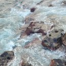 제주야 표선 이미지