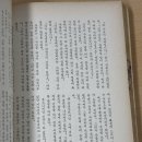 아오바 이치코와 동시대를 산다는 것