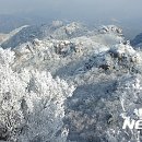 속리산 이미지