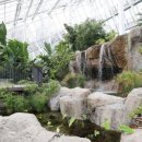 영흥수목원 전시온실 이미지