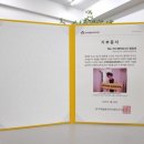 선항 한국경제