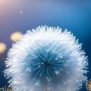 단전호흡과 명상 이미지