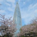 엄마랑 유리드믹스 11-17개월 | 17개월 아이랑 주말 소피텔 호캉스 석촌호수 벚꽃축제 후기