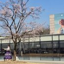 [덕계]조선왕조 역사 인문학 | <지역주민과 함께하는 인문학> 서울탐방(제5회...건청궁에 얽힌 역사 이야기 / 경복궁에서 북촌까지...