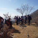 부발초교 이미지