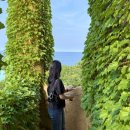 레드블랙짐 | 디자이너 브랜드 가방 'Cardinal Red bell bag 카디널레드 벨백' 블랙 후기