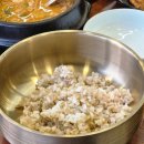 우렁쌈밥 | 경기광주 곤지암 보리밥 맛집 청보보리밥 본점 두루치기우렁쌈밥 후기
