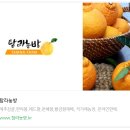 탐라미트