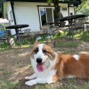 성남유치원 이미지