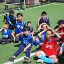 광림태권도 이미지